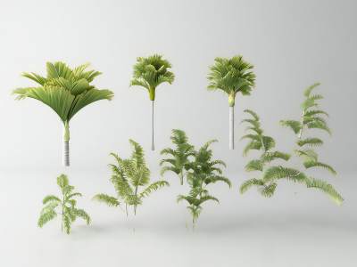 现代景观树